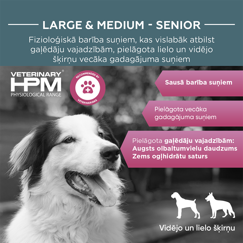 https://admins.bertasnams.lv/storage/media/3960/3561963600302_1_HPM-DOG-Senior-large_medium-7-kg.jpg