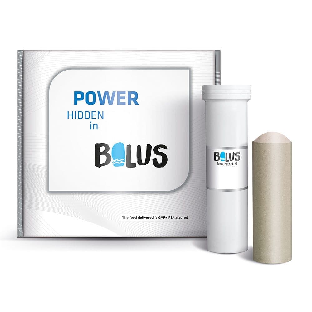 $/_next/image?url=https://admins.bertasnams.lv/storage/media/20222/12995_1_JF-Magnesium-boli-180-g-N4.jpg