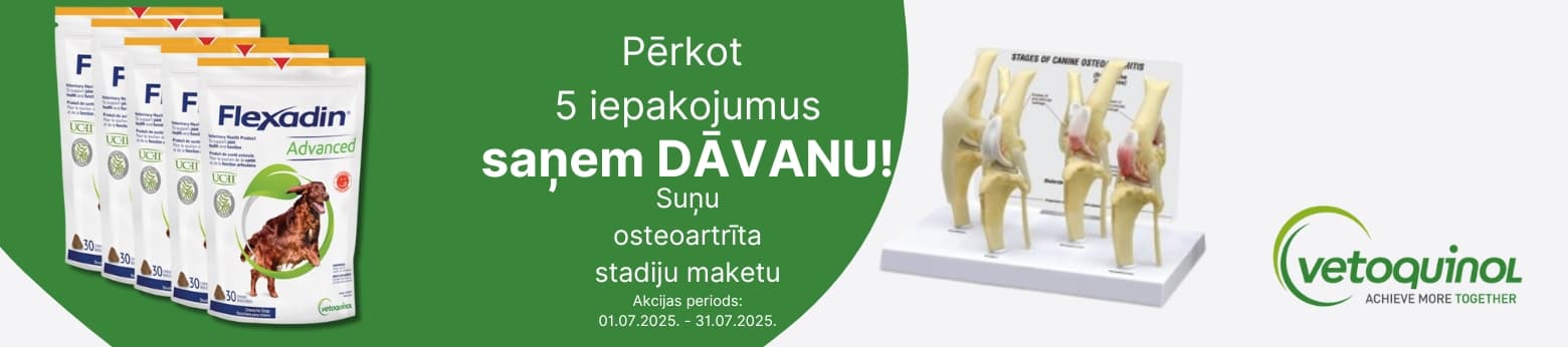 https://admins.bertasnams.lv/storage/media/20885/B2B-web.jpg
