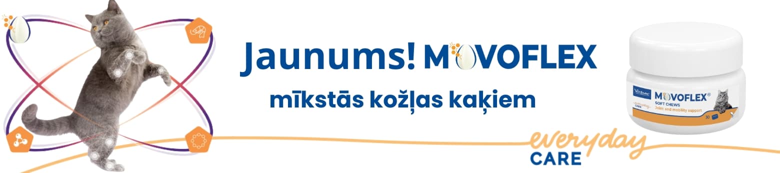 https://admins.bertasnams.lv/storage/media/20990/b2b-banner-b-web.jpg