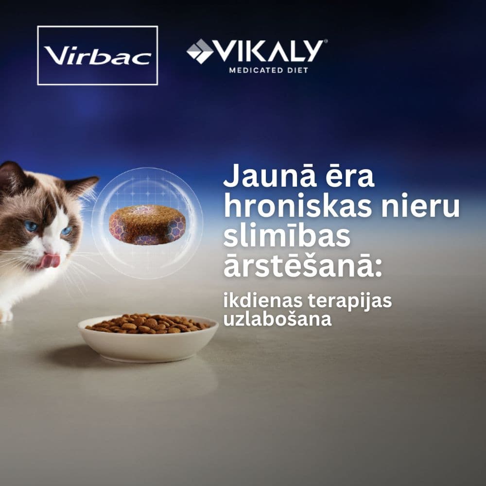 https://admins.bertasnams.lv/storage/media/21275/conversions/Virbac-Vikaly-%281%29-thumb.jpg