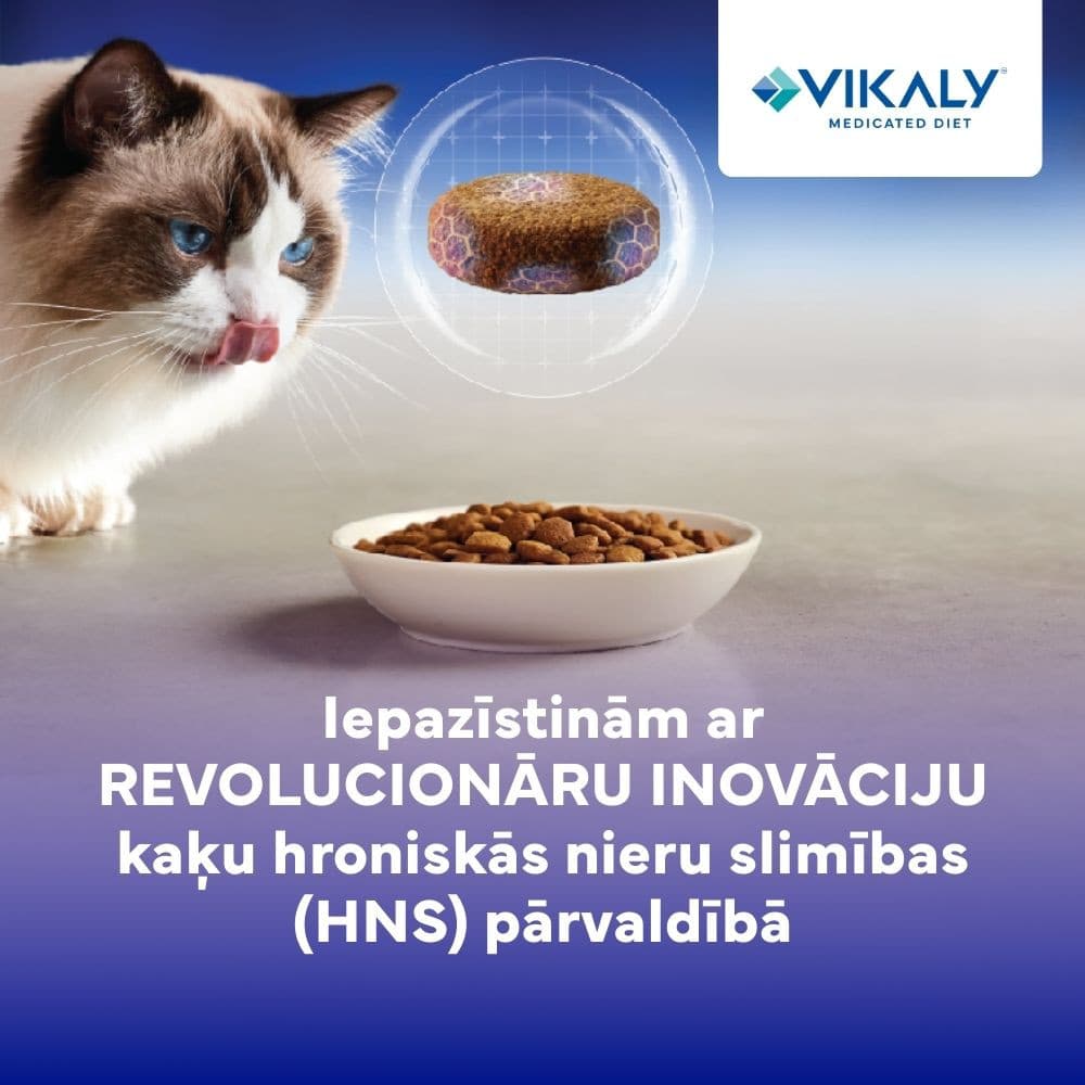 https://admins.bertasnams.lv/storage/media/21451/conversions/Vikaly-semin%C4%81rs-thumb.jpg