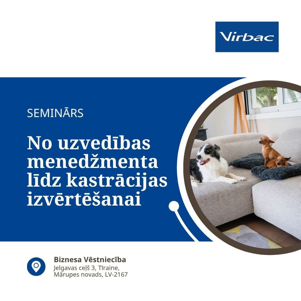 https://admins.bertasnams.lv/storage/media/21762/conversions/Semināri-(1)-thumb.jpg