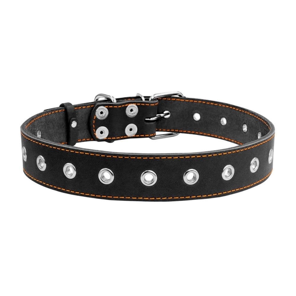 https://admins.bertasnams.lv/storage/media/19311/4820082491727_1_-WAUDOG-Kakla-siksna-suņiem-_CoLLaR_,-W-20-mm,-L-50-cm,-Melna.jpg