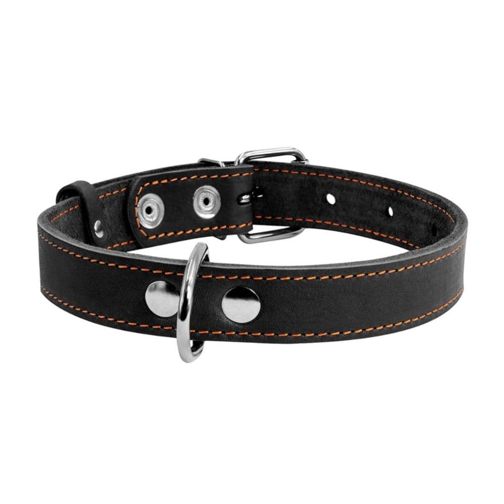 https://admins.bertasnams.lv/storage/media/19313/4820082491956_1_-WAUDOG-Kakla-siksna-suņiem-_CoLLaR_,-W-35-mm,-L-48-63-cm,-Melna.jpg