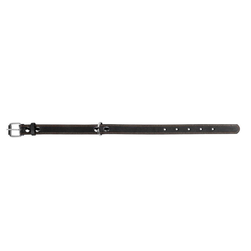 https://admins.bertasnams.lv/storage/media/19313/4820082491956_1_-WAUDOG-Kakla-siksna-suņiem-_CoLLaR_,-W-35-mm,-L-48-63-cm,-Melna.jpg