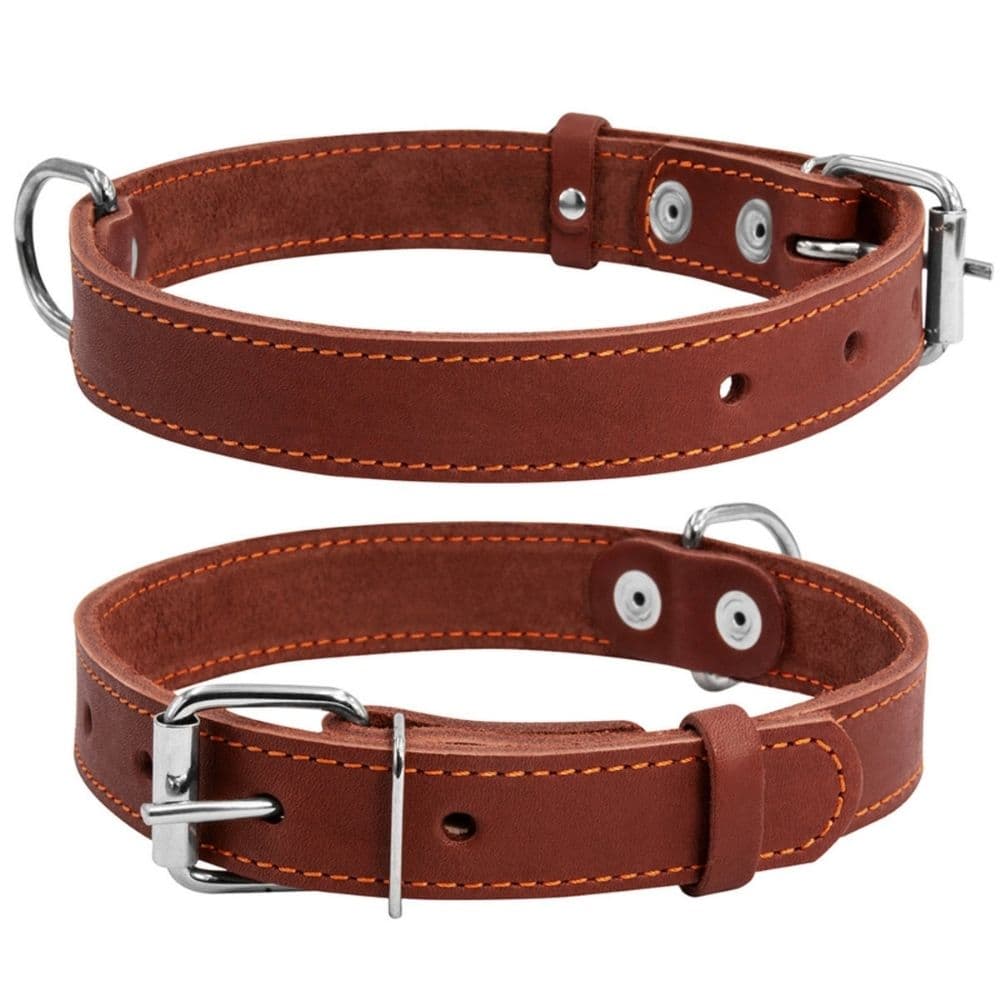 https://admins.bertasnams.lv/storage/media/19329/4823089305417_1_-WAUDOG-Kakla-siksna-suņiem-_CoLLaR_,-W-35-mm,-L-48-63-cm,-Brūna.jpg