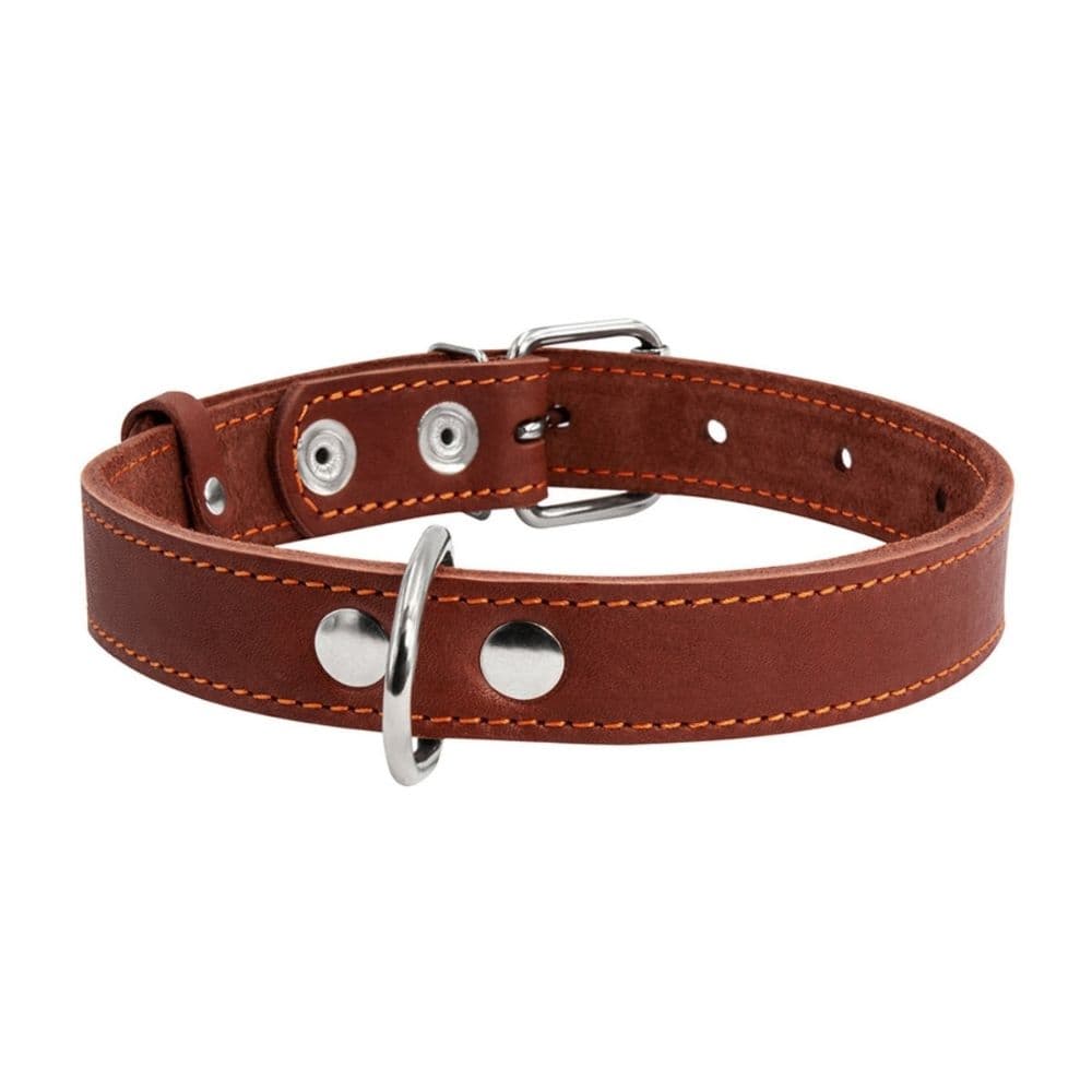 https://admins.bertasnams.lv/storage/media/19329/4823089305417_1_-WAUDOG-Kakla-siksna-suņiem-_CoLLaR_,-W-35-mm,-L-48-63-cm,-Brūna.jpg