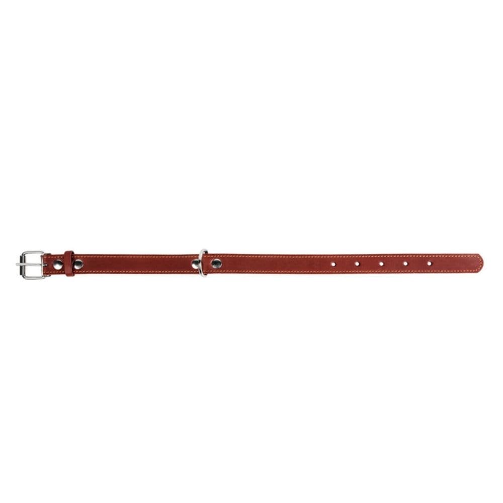 https://admins.bertasnams.lv/storage/media/19329/4823089305417_1_-WAUDOG-Kakla-siksna-suņiem-_CoLLaR_,-W-35-mm,-L-48-63-cm,-Brūna.jpg