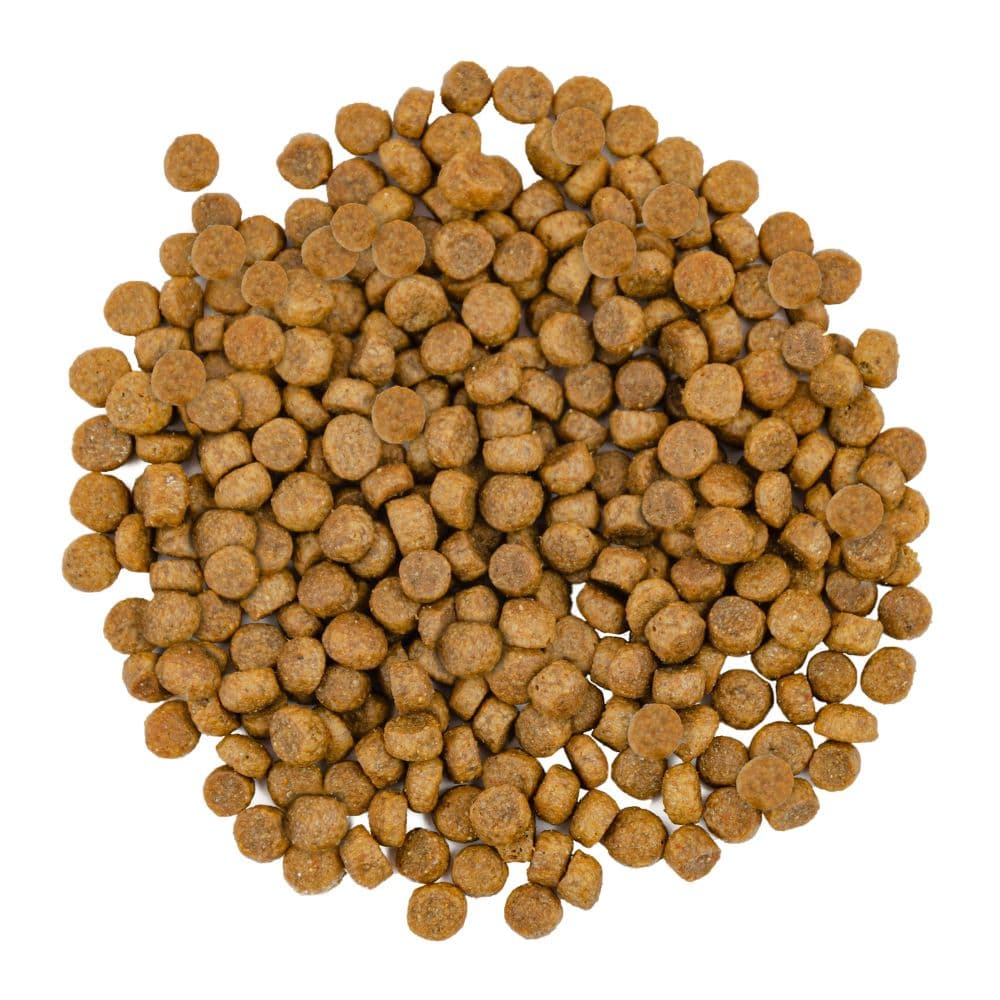 https://admins.bertasnams.lv/storage/media/20206/4820232630037_1_Savory-bar%C4%ABba-ka%C4%B7iem-Gourmand-ar-lasi-un-balto-zivi-8-kg.jpg