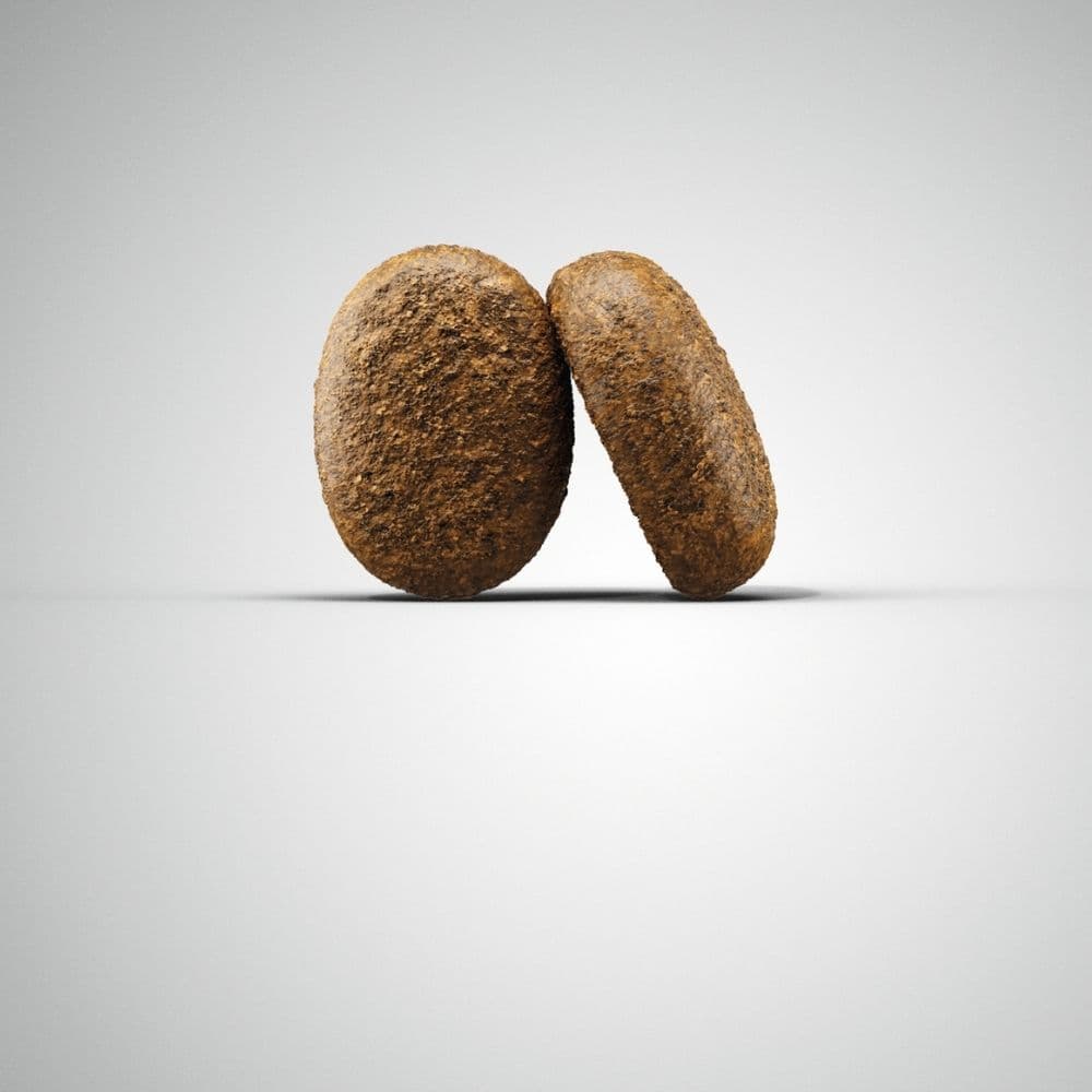 https://admins.bertasnams.lv/storage/media/21077/4032254786429_1_Josera-SP-suņiem-Optiness-12.5-kg.png