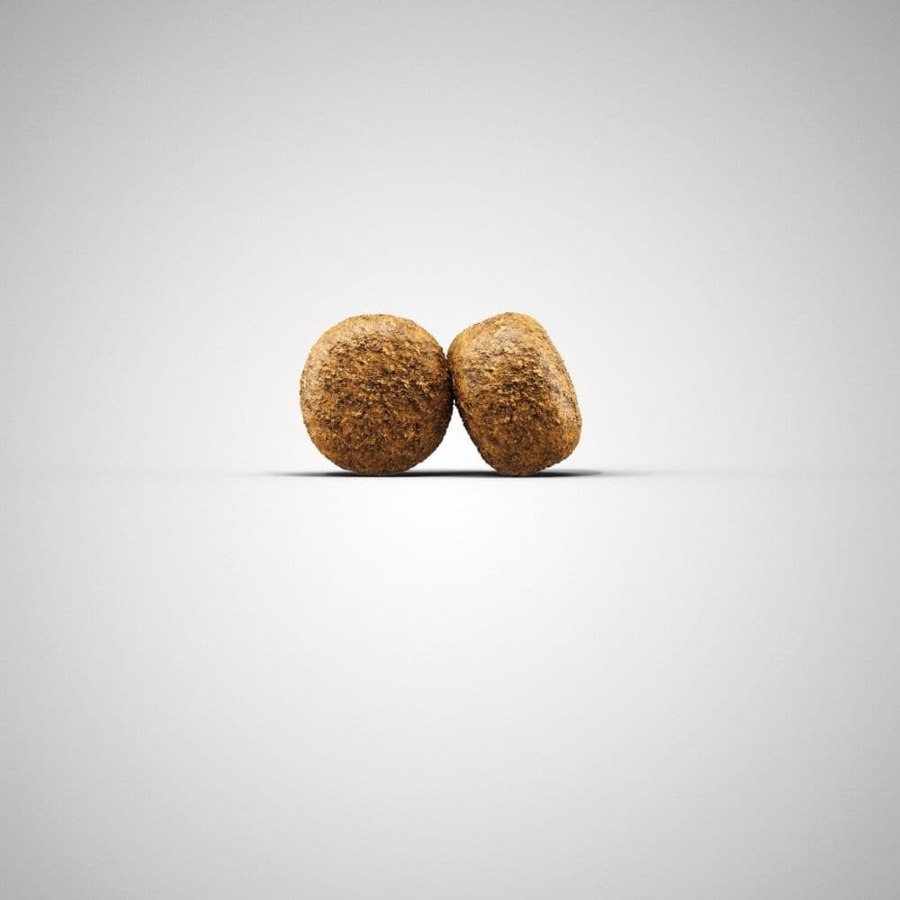 https://admins.bertasnams.lv/storage/media/3209/4032254745242_1_Josera-SP-suņiem-Balance-900-g.jpg