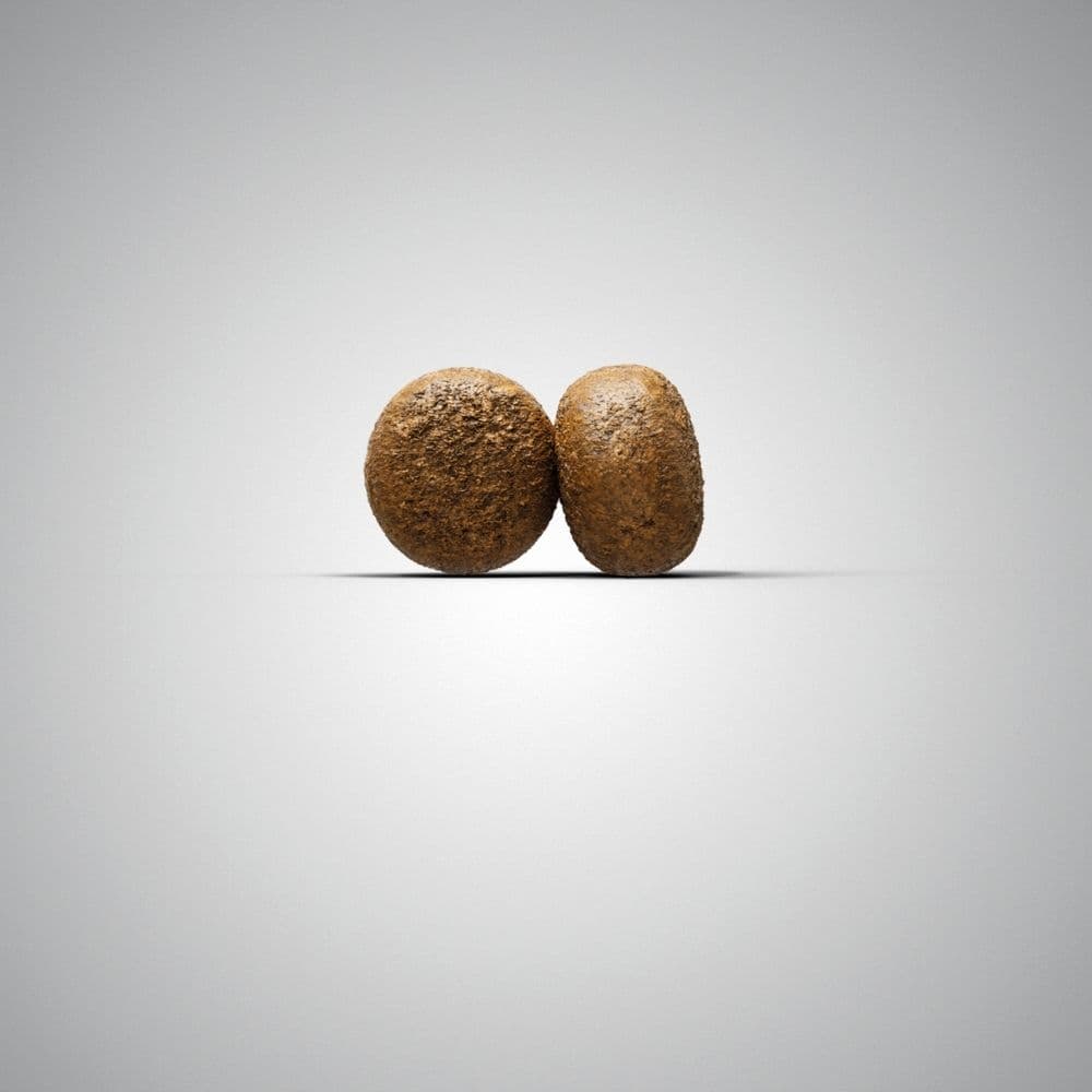 https://admins.bertasnams.lv/storage/media/3216/4032254745327_1_Josera-SP-suņiem-YoungStar-900-g.jpg